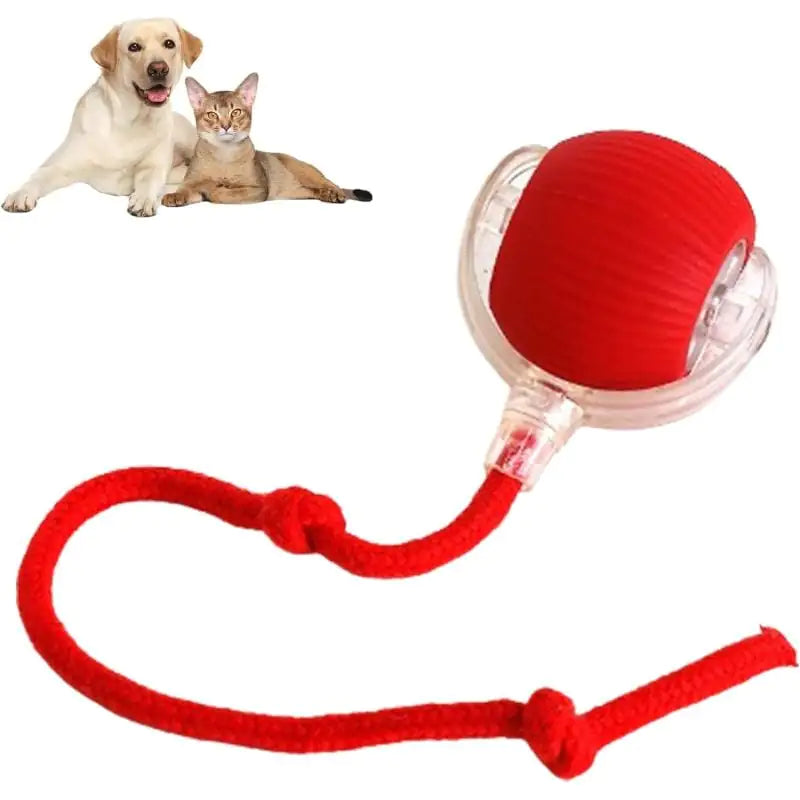 Automatic Rolling Pet Ball