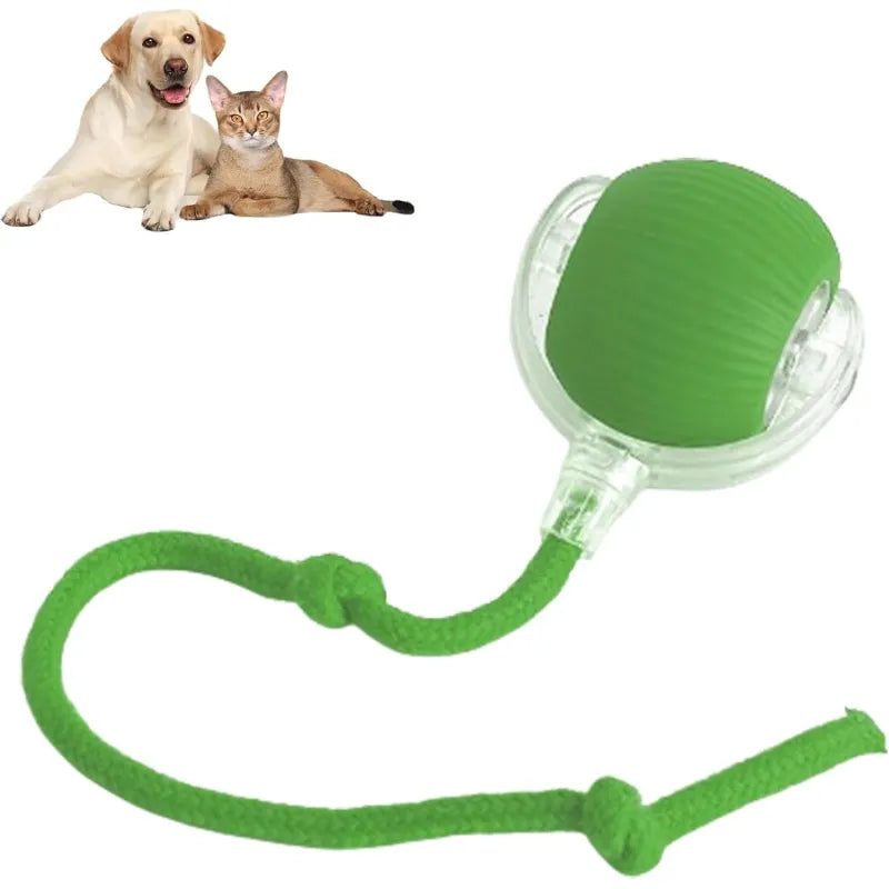 Automatic Rolling Pet Ball