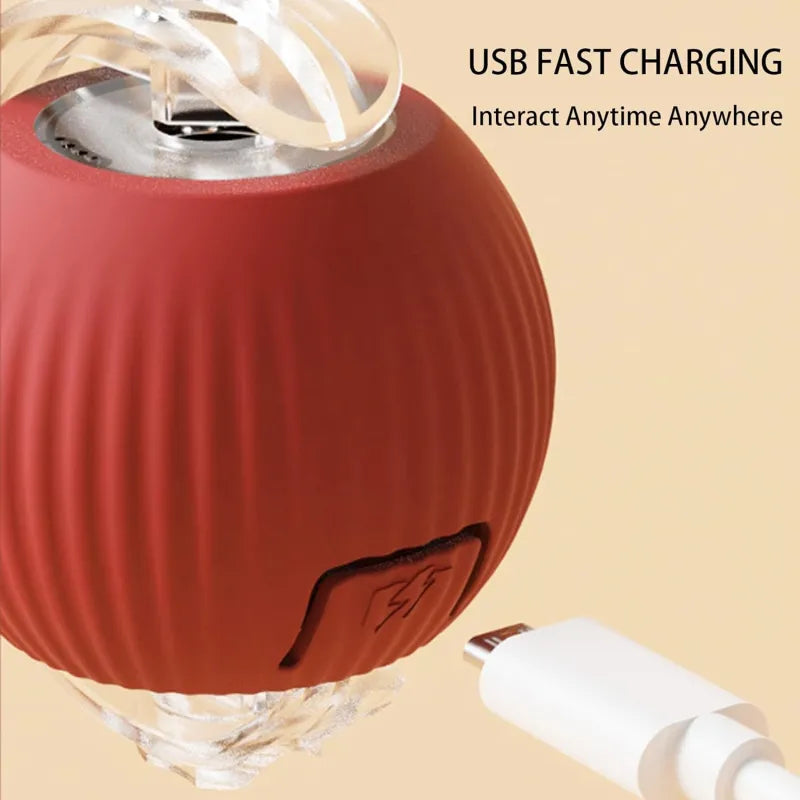 Automatic Rolling Pet Ball