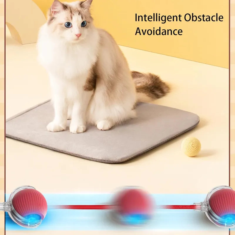 Automatic Rolling Pet Ball