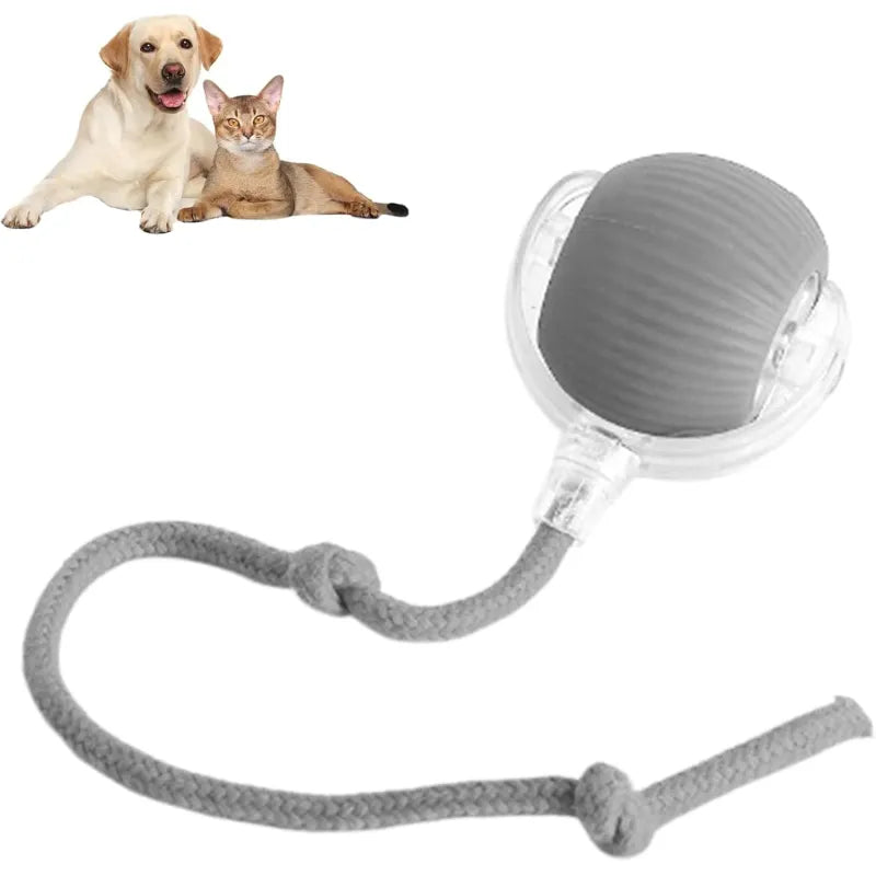 Automatic Rolling Pet Ball