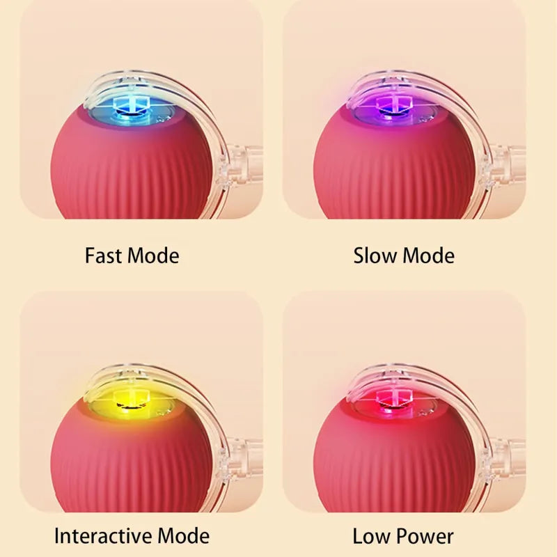 Automatic Rolling Pet Ball