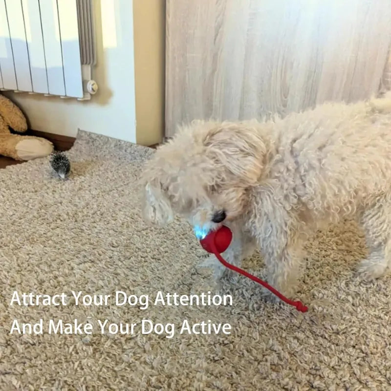 Automatic Rolling Pet Ball