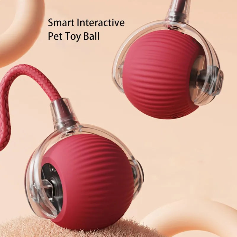 Automatic Rolling Pet Ball