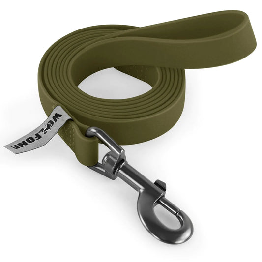 Dog Leash