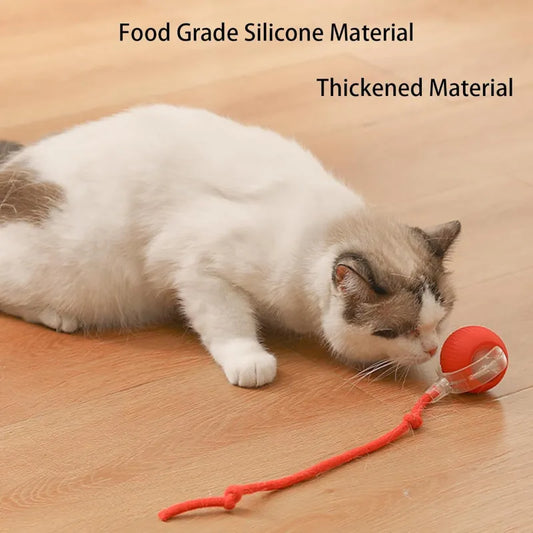 Automatic Rolling Pet Ball